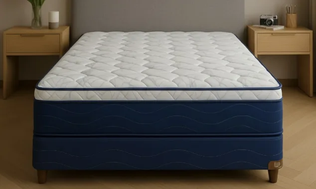 Imagen de Seccion Sommiers